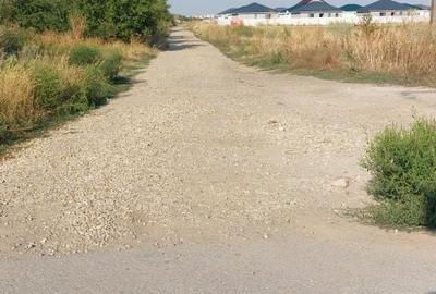 Teren de 5000 mp, în Vârteju - 4