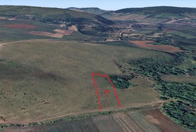 Teren agricol extravilan de 3000 mp, în Borșa - 4