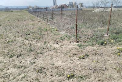 Teren de 5500 mp, în Ruși-Ciutea - 17