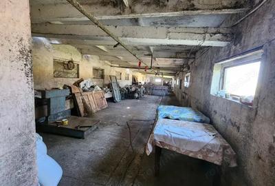 Spațiu comercial, de 600 mp, în Sânandrei - 7