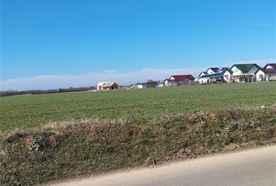 Teren Construcții intravilan de 10400 mp, în Ciolpani - 1