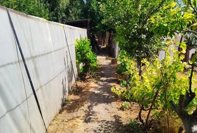 Casă cu 6 camere cu Teren 1596 Mp în Nerău - 1