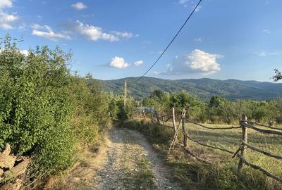 Spațiu comercial, în Ursoaia - 5