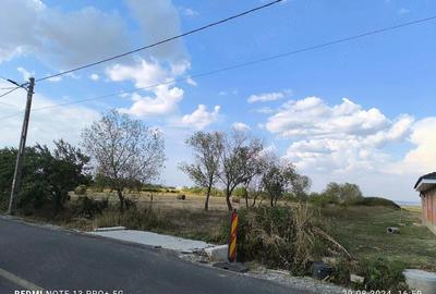 Teren de 1673 mp, în Sărand