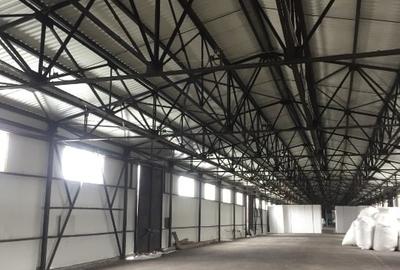 Proprietate specială, 6800 mp în Aeroport
