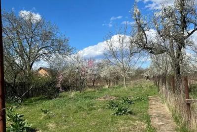 Casa de vanzare sau schimb cu apartament! - 5