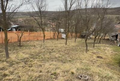 Teren intravilan de 1064 mp, în Bârlea - 3