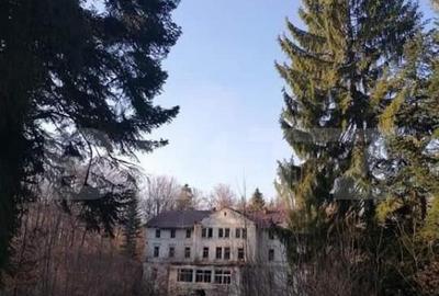 Vila printesei Sisi, 30 de camere, 3 ha, 2000 mp construiti, - 2