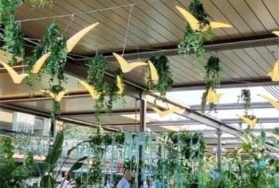 Investiție Premium în Brașov: Clădire istorică + Restaurant consacrat + Chiriaș - 2