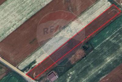 Teren Construcții intravilan de 12360 mp, în Boțârlău - 8