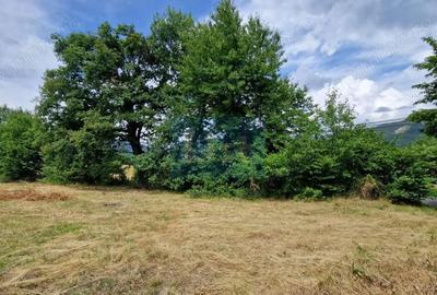 Teren de 5143 mp, în Baia Sprie - 3