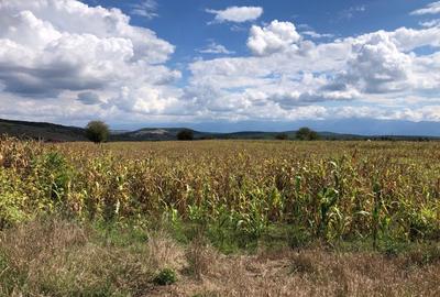 Teren extravilan 38.000 mp in sat Daia / com. Rosia / jud. Sibiu - 4
