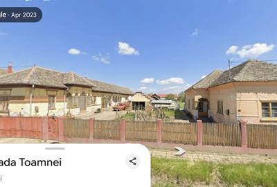 Casă în Poiana Mare - 3