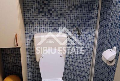 Casă cu 2 camere în Cisnădioara - 9