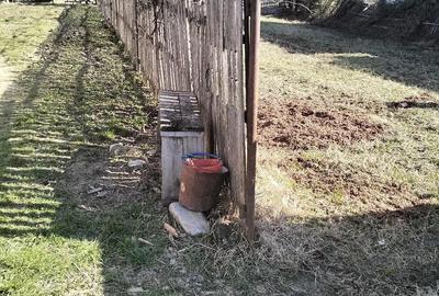 Casă cu Teren 1776 Mp în Groși - 4