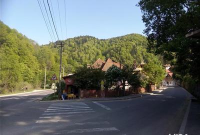 Casă cu 4 camere cu Teren 340 Mp în Castelul Peleș - 7