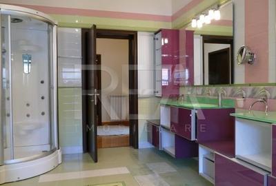 Casă individuală cu 7 camere cu Piscina în Iancu Nicolae - 30