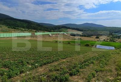 Teren de 6500 mp, în Central - 4