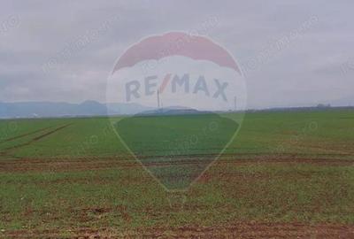 Comision 0 %! Teren extravilan, 21,175 mp Harman - 2