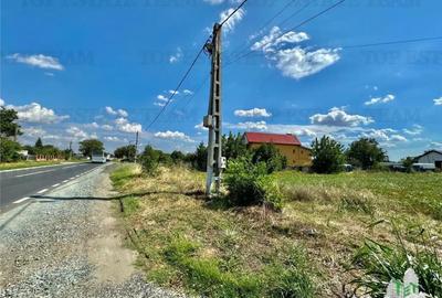 Teren de 2500 mp, în Frumușani