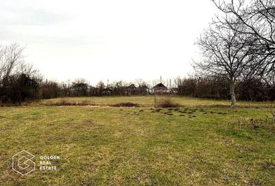 Teren Construcții intravilan de 2880 mp, în Șiria - 6