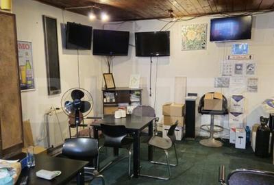 Spatiu comercial, 100 mp, terasa, Bld. Castanilor Spatiu comercial, 100 mp, terasa, Bld. Castanilor - 12