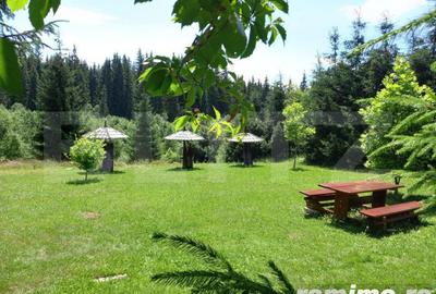 Casă cu 8 camere cu Teren 6060 Mp în Poiana Stampei - 5