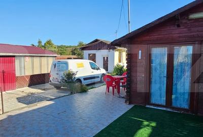 Doua unitati locative tip cabana - sat Pojoga, jud. Hunedoara - teren 1706 mp - 15