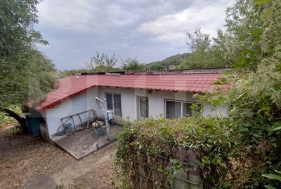 Casa Leamna de Jos, teren 1167mp, langa terenul de fotbal - 2