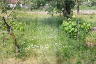 Blitz va ofera spre vanzare casa cu teren generos in Covas? - 7