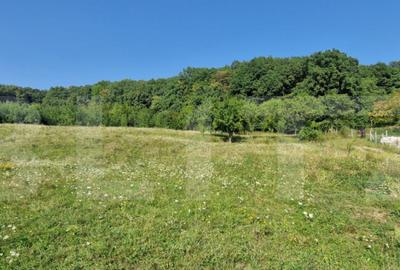 Teren de vanzare, 1Ha in apropiere de cartierul RAAL Teren de vanzare, 1Ha in apropiere de cartierul RAAL - 3