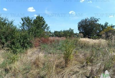 Teren intravilan in localitatea Cornetu cu deschidere mare, ideal pentru dezvolt Teren intravilan in localitatea Cornetu cu deschidere mare, ideal pentru dezvolt - 7