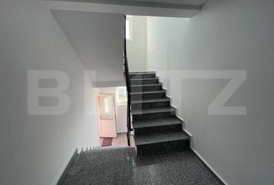 Casă individuală cu 14 camere cu Teren 2000 Mp în Lăpuș - 12