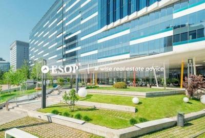 Spațiu comercial, de 600 mp, în Barbu Văcărescu