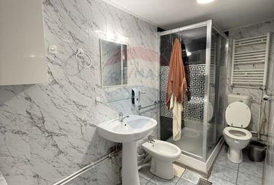 Casa in zona Tineretului - 12