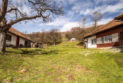 FILM! Pe domeniu de 6.500 mp teren, casa parinteasca, in mag - 3