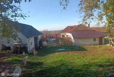 Vand casa Simeria veche - 3