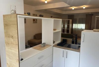 Garsonieră decomandată în Cișmigiu - 4