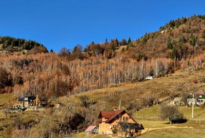 Teren de vânzare în sat Măgura/ Brasov– loc pentru familie, liniște și suflet - 5
