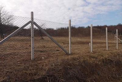 Spațiu comercial, în Podgoria - 3