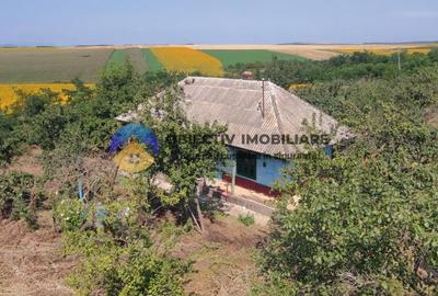 Teren de vanzare - Margineni 5920 mp - 14