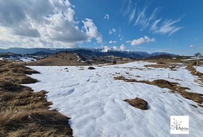 Teren De Vanzare In Sirnea - 19