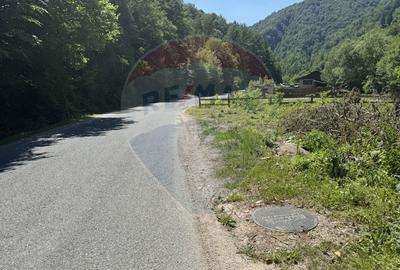 Teren intravilan 1500 mp Valea Ierii - 16