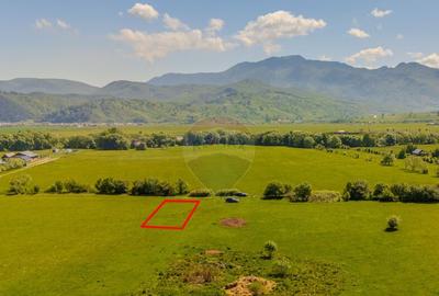 Teren 862mp Rasnov/Intravilan Teren 862mp Rasnov/Intravilan - 12