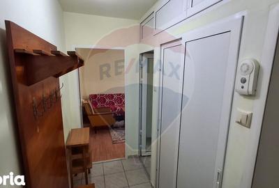 Apartament cu 2 camere semidecomandat, mobilat în Aurel Vlaicu - 8