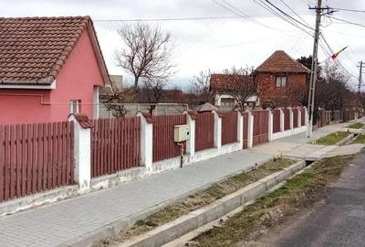 OFERTA in Bacia, Hunedoara ! Proprietate 2 case + Cabana + Livada - 15