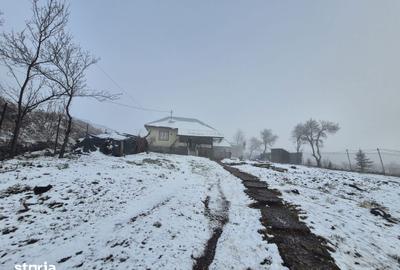 Casă cu 2 camere cu Teren 5135 Mp în Dobreni - 11