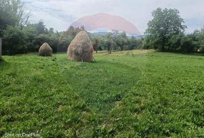 Casă cu 3 camere cu Teren 5472 Mp în Breb - 2