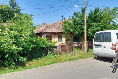 Casa 60mp + 28 arii teren, sat Sanpetru de Campie - 3
