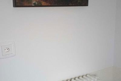 Garsonieră decomandată în Noua - 8